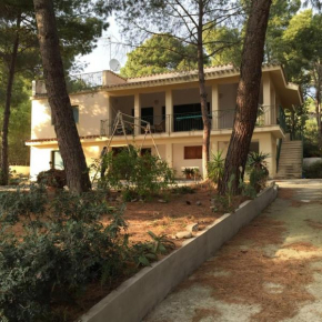 Villa dei Pini